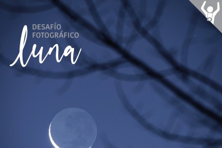 DESAFÍO #13