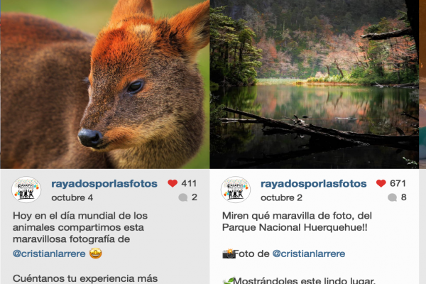 FOTOGRAFÍA Y REDES SOCIALES: CONSEJOS PARA TENER MAYOR VISIBILIDAD EN INSTAGRAM